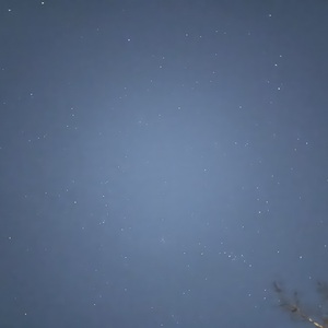 Fundraising Page: Nicholas Gatti